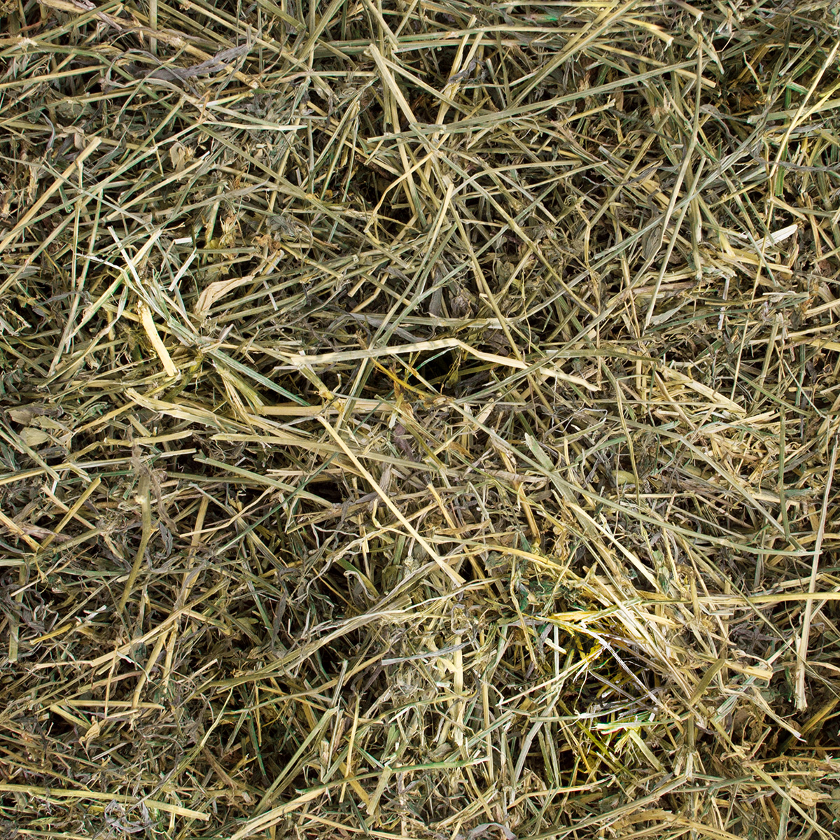 Höveler Western Alfalfa